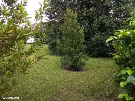 terrain 500 m² martillac