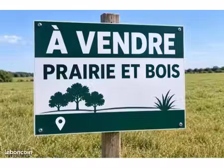 bois de chêne + prairie