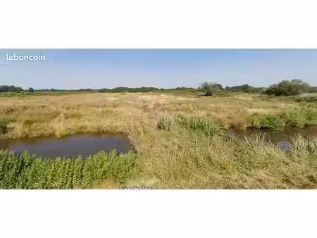 terrain à vendre dans les marais de braud saint louis