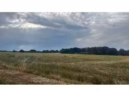 terrain 600 m² auzielle