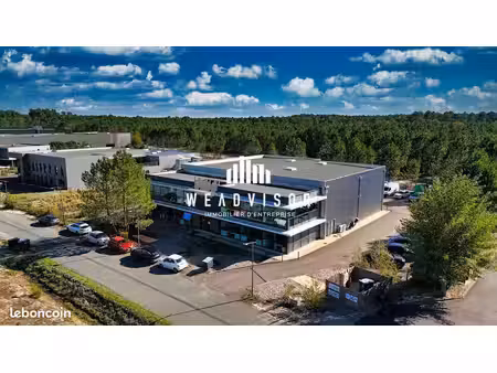 local d'activite 1300 m² martillac