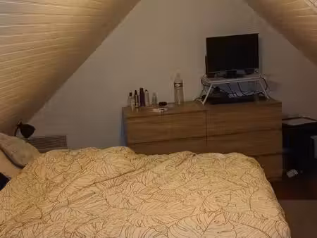 immobilier