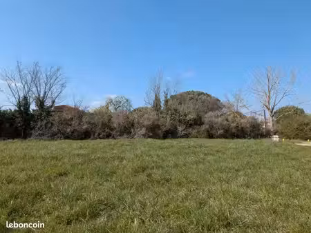 terrain 1 453 m² muret