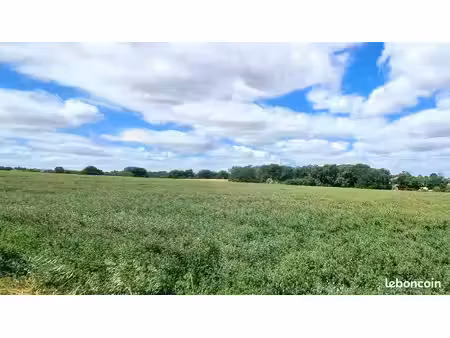 terrain à bâtir de 800 m² à auzielle (31)