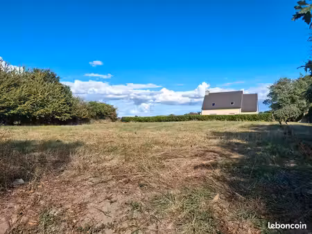 terrain constructible