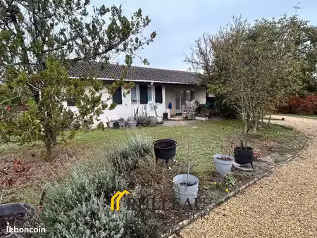 maison en viager 3 pièces 95 m²
