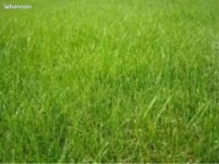 terrain 235 m² la gouesniere