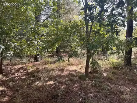 terrain 5 000 m² gastes