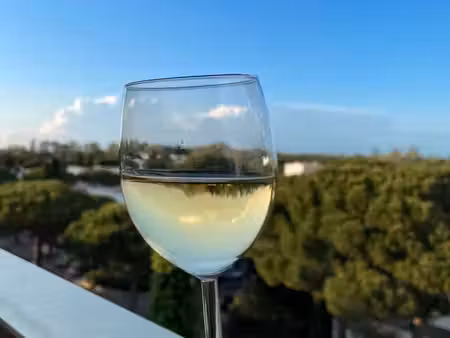appartement coup de coeur  terrasse 15m2 avec une vue à 180°