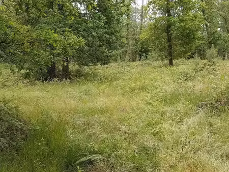 3hectares 19 forêt bord de rivière de châtaigner  chênes  peupliers...