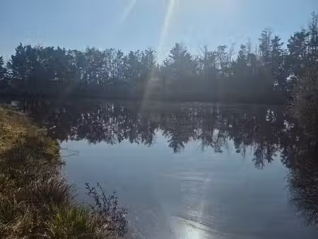 etang