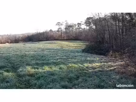 petit terrain de loisirs à misson (landes) près de la route