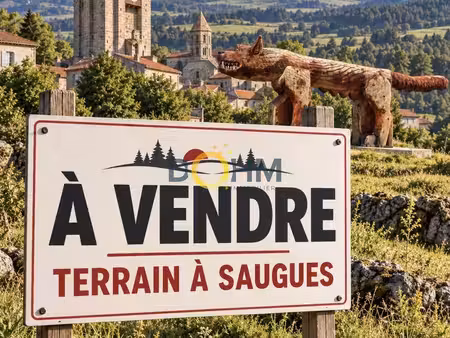 terrain 2533 m² saugues