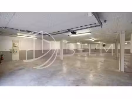 vente local d’activités saint-maur-des-fossés 94100 450m²