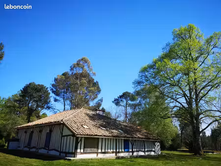 authentique maison landaise