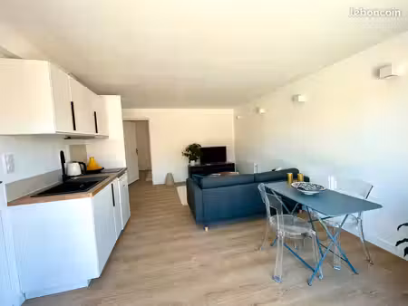 appartement t2 intégralement rénové - grandes baie vitrée