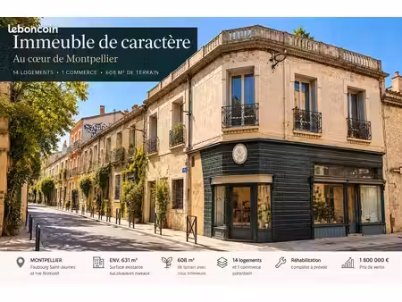 montpellier centre historique – ensemble immobilier de caractère – opportunité rare