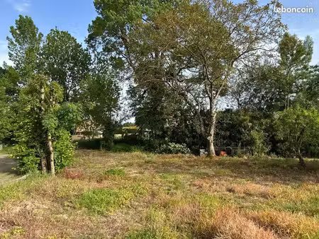 terrain constructible