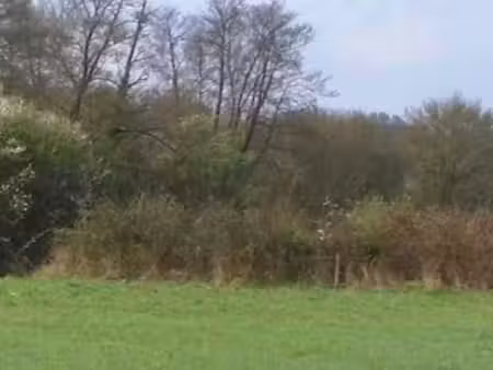 terrain naturel loisir agricole
