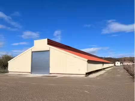 local d’activité dépôt entrepôt hangar stockage 520 m2