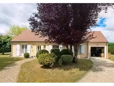 maison familiale avec piscine et grand jardin arboré à corbeilles