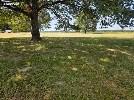 très beau terrain plat et constructible sans vis-à-vis