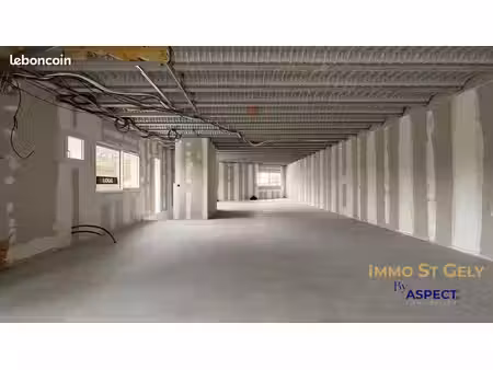 bureaux 100 m² saint-gély-du-fesc