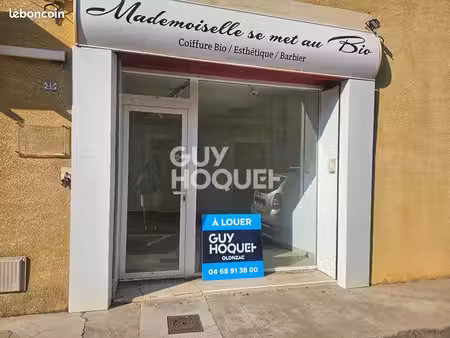 local d'activité olonzac