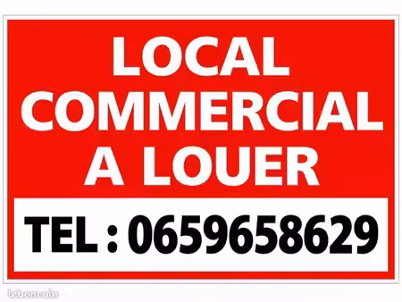 à louer : local professionnel 350 m² + terrain 700 m² – idéal garage automobile – 1500e