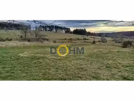 terrain 3240 m² chomelix
