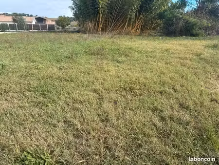 terrain 1 350 m² saint martin petit