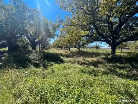 terrain 3 632 m² tauriac