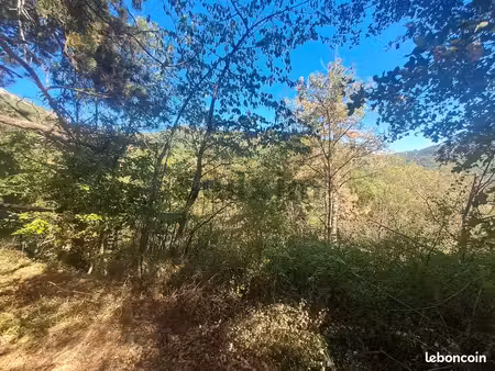 terrain 3133 m² vialas