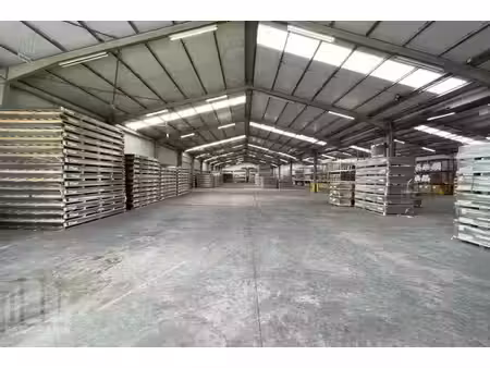 surface industrielle à louer à herderstraat 10 tielt (rbx18650)