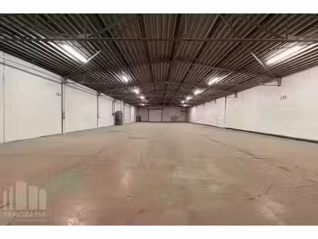 surface industrielle à louer à herderstraat 10 tielt (rbx18647)