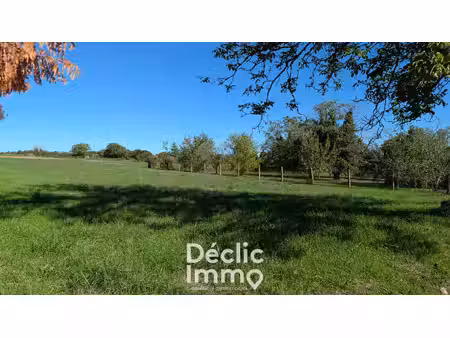 terrain