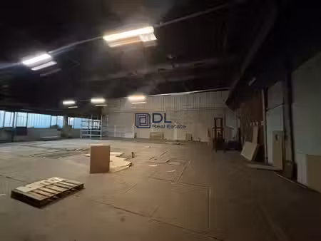 location entrepôt ris-orangis 91130 1300m²