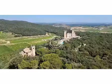 maison avec piscine et terrasse villeneuve-les-avignon (30)