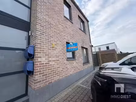 immo diest