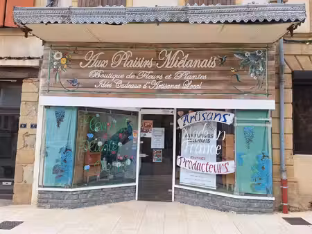 immeuble à vendre mielan 5 pièce(s) 260m2 50 000€