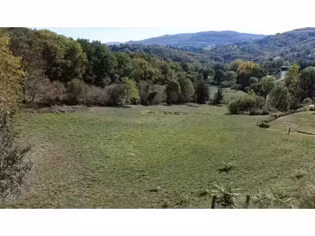 achat terrain 2 300m² espalion 12500