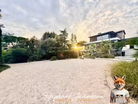 villa supercannes