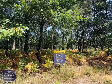 terrain à vendre - saint-benoît-la-forêt (37) - 99 000€