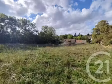 vente terrain à batir 3162 m² à montgivray (36400)  33 000 €