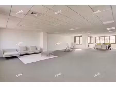 location local professionnel 15 542m²