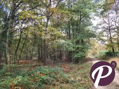 achat terrain 151 213m² bergerac 24100