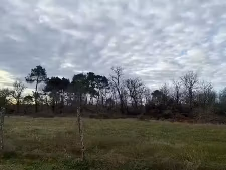 terrain à bâtir à roaillan (33210)