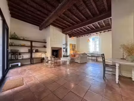 maison de caractère du xvie siècle : charme historique  terrasse de 80 m² et garage