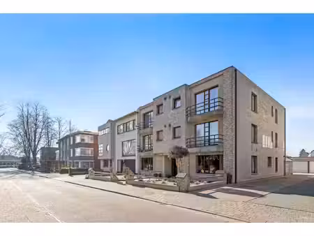 huis te koop in turnhout met 12 slaapkamers