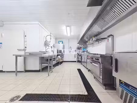 vente locaux professionnels 0 pièces à challes-les-eaux (73190)  120 000 €